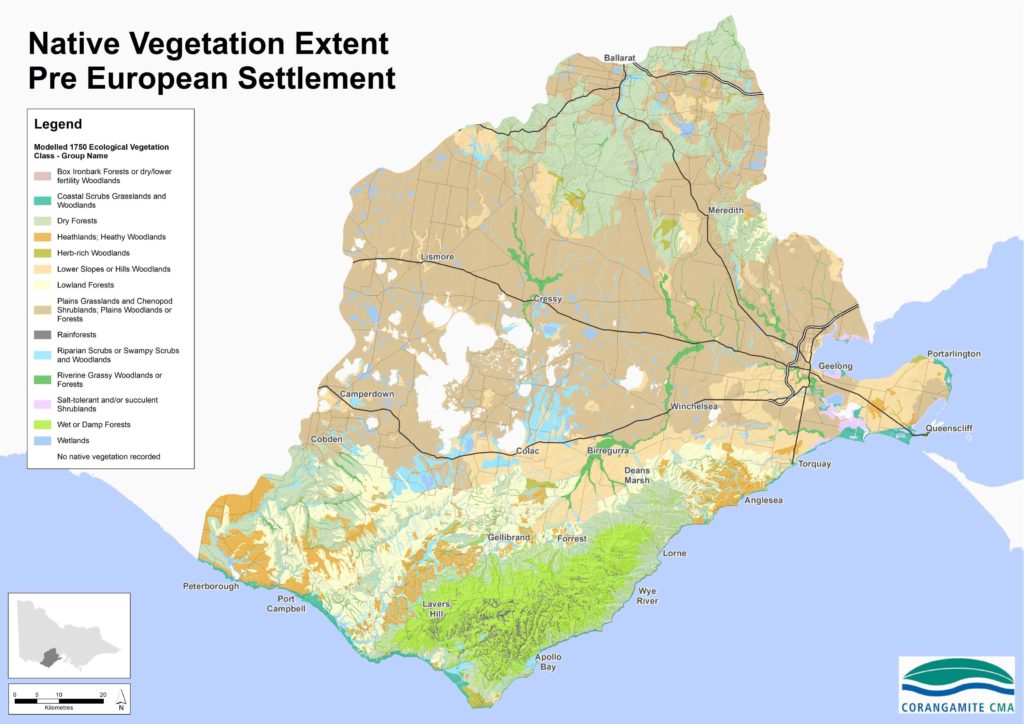 Native Vegetation Extent Pre European Settlement Map