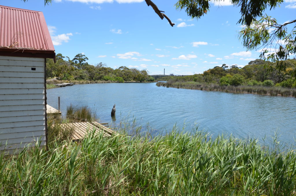 Anglesea River estuary